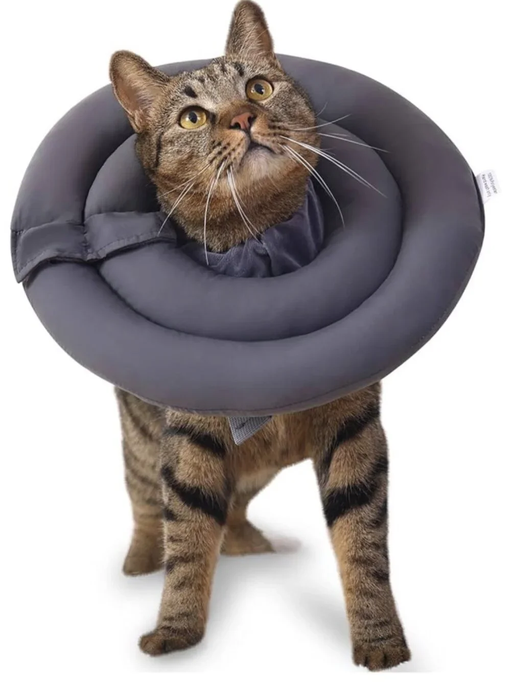Petsfavor Soft Cone Alternative, Size small